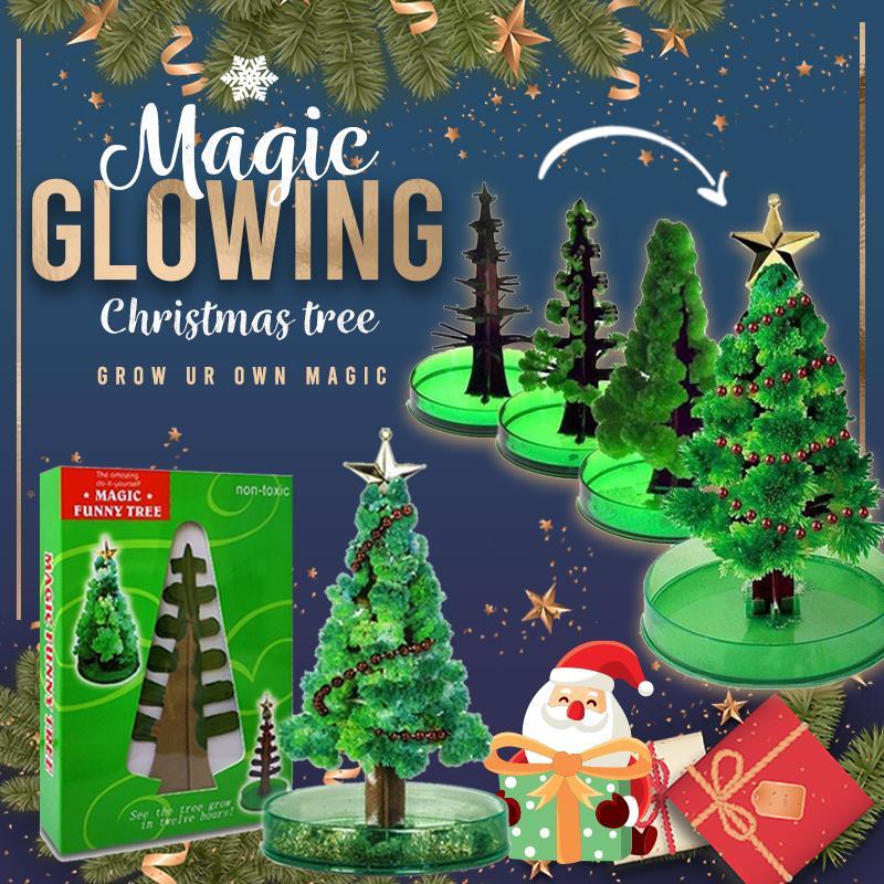 Miracle Growing Christmas Tree（Growth is complete after 24 hours）