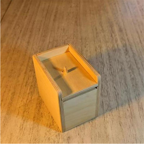 Spider box prank