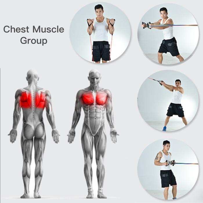 Resistance Band Set ( 11 Piece Set )-Buy 2 Free Shipping