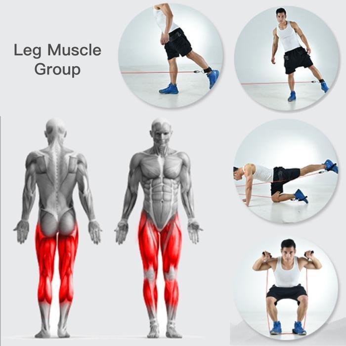 Resistance Band Set ( 11 Piece Set )-Buy 2 Free Shipping